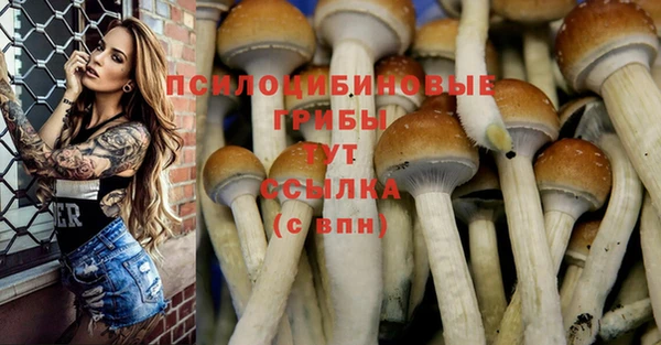 спайс Абаза