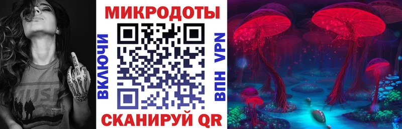 Псилоцибиновые грибы Psilocybine cubensis  Донской 